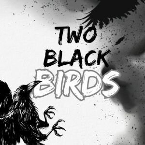 Two Black Birds